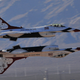 Illustration for article titled A Brief Primer on the USAF Thunderbirds